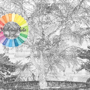 Kolorowanka Fotografia Uliczna - Kolorowanka dla dorosłych i dzieci, Podróże po Japonii, Dawny budynek główny Biura Prefektury Kioto, Kioto sakura