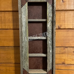 Belt Buckle Display Case - Holds 4 buckles-Saddle