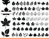 Leaves SVG Bundle, Autumn Leaf SVG, Maple Leaf Png, Leaf Clipart, Fall Cut Files, Autumn Svgs, Leaf Vectors, Fall Svg, Fern Svg, Split Name