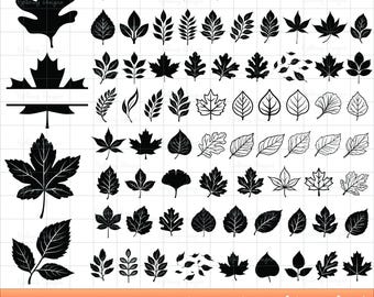 Bladeren SVG-bundel, herfstblad SVG, esdoornblad png, blad clipart, val gesneden bestanden, herfst SVG, blad vectoren, herfst SVG, varen SVG, gesplitste naam