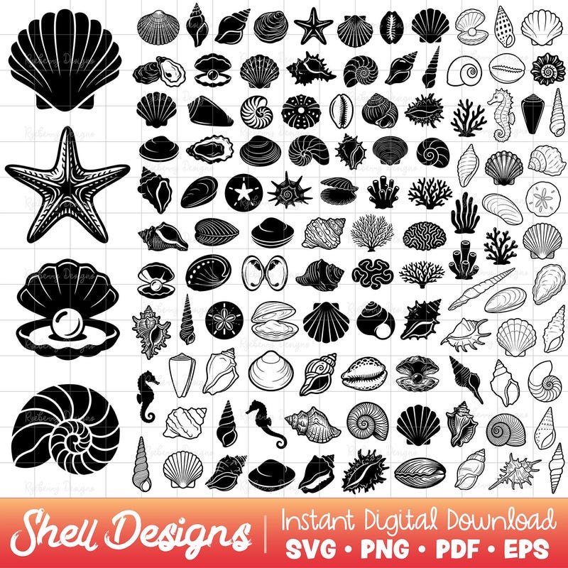 Clipart Shell Paper - Etsy UK