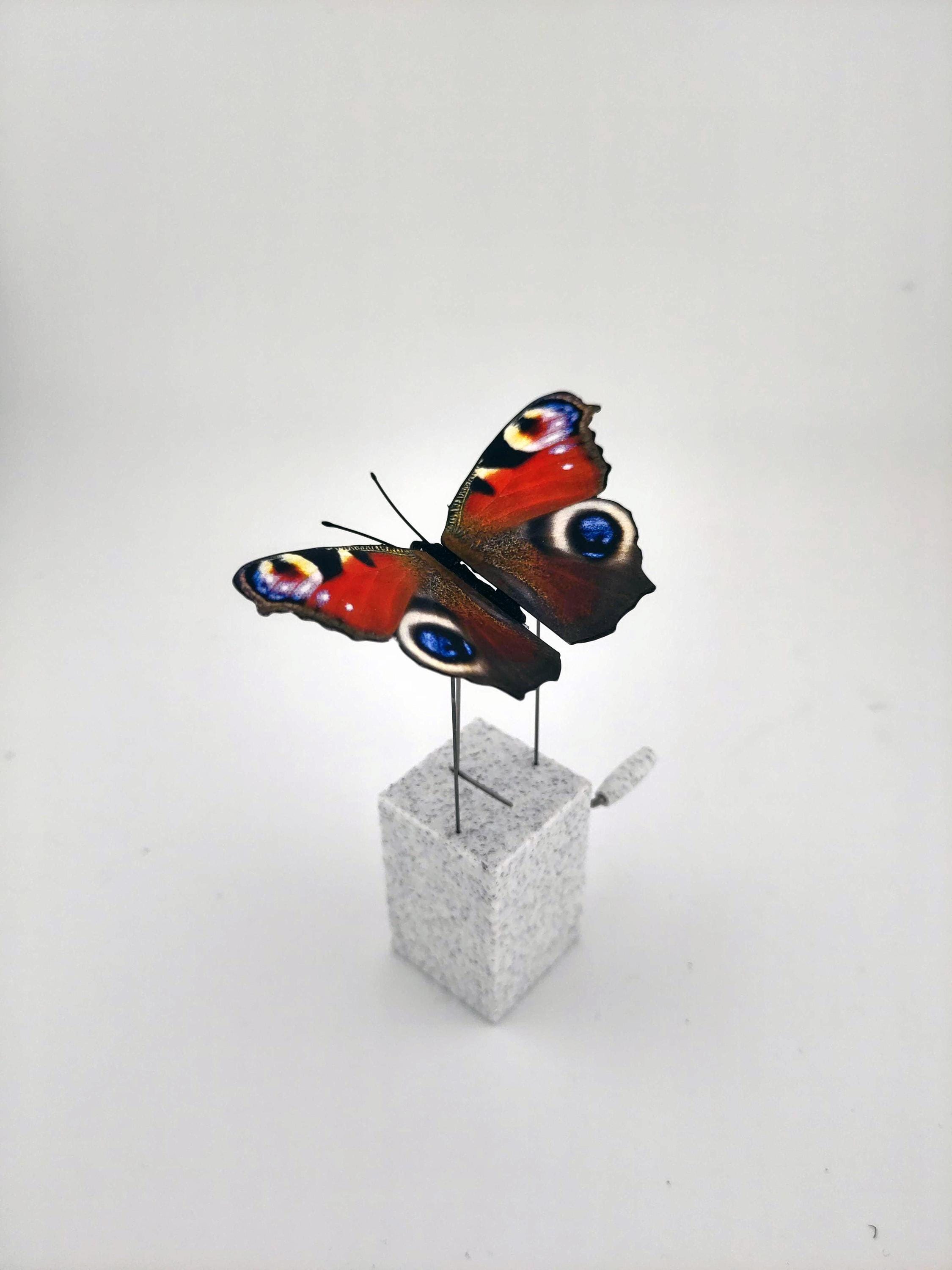 Wind up butterfly - Etsy 日本