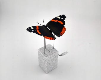 Red Admiral Butterfly Automata (Vanessa atalanta)