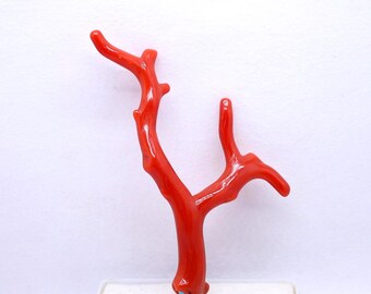 New Arrivals!! Genuine Tree 100% Natural Italian Red Coral Branch Cabochon  Gemstone, AAA+ Quality Coral Polished Stick Raw Well Polished