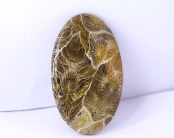 Top Grade Quality 100% Natural Fossil Coral Cabochon Loose Gemstone, Oval Shape 35 Cts 38X23X4 mm For Jewelry Making Stone