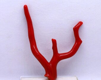 New Arrivals!! Tempting Rare 100% Natural Italian Red Coral Branch Cabochon  Gemstone, AAA+ Quality Coral Polished Stick Raw Well Polished