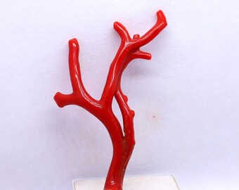 New Arrivals!! Genuis Tree 100% Natural Italian Red Coral Branch Cabochon  Gemstone, AAA+ Quality Coral Polished Stick Raw Well Polished