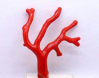New Arrivals!! Genuis Tree 100% Natural Italian Red Coral Branch Cabochon  Gemstone, AAA+ Quality Coral Polished Stick Raw Well Polished