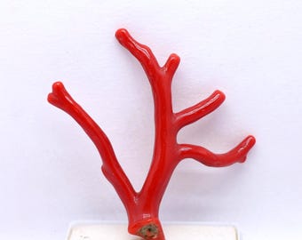 New Arrivals!! Genuine Tree 100% Natural Italian Red Coral Branch Cabochon  Gemstone, AAA+ Quality Coral Polished Stick Raw Well Polished