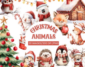 Clipart de animales navideños en acuarela: Paquete PNG de bosque invernal (descarga digital)