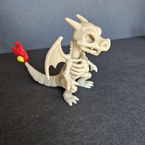 Skeletonized Charizard - by Mad Power