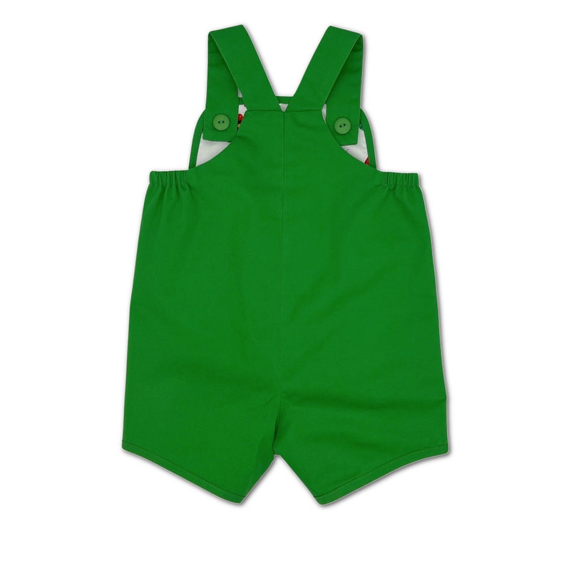 Very Hungry Caterpillar Romper, Green Hungry Caterpillar Reversible Jon Jon, Hungry Caterpillar Birthday Outfit, Eric Carle Overalls image 6