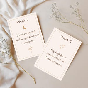 Tarjetas de afirmación para el embarazo imprimibles / Semanas 5 a 40 + Posparto / Tarjetas de afirmación para mamás / Descarga de estilo bohemio minimalista