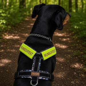 Könnte beinhalten: Ein schwarzer Hund trägt ein Geschirr mit neongelben Schulterriemen, auf denen der Text WUNSCHTEXT in dunkler Schrift steht. Das Geschirr verfügt über einen schwarzen Brustgurt mit einem kleinen braunen Etikett und einem Metall-D-Ring.