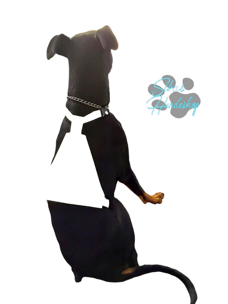 May include: A black dog wearing a white harness and a silver chain collar. The dog is facing away from the camera, with the text "Silas Hundeshop" in light blue.