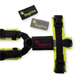 Könnte beinhalten: Ein Hundegeschirr in Neongelb und Schwarz, mit dem Namen "Baghirra" auf schwarzen und grauen Aufnähern. Das Geschirr hat einen Schnallenverschluss. Die Aufnäher zeigen Pfotenabdrücke.