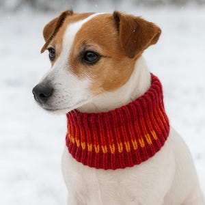 Könnte beinhalten: Ein Jack Russell Terrier mit einem rot-orangenen Strick-Halswärmer, der im Schnee sitzt. Der Hund hat ein weiß-braunes Fell und einen konzentrierten Gesichtsausdruck. Der Hintergrund ist verschwommen, was auf eine verschneite Umgebung im Freien hindeutet.