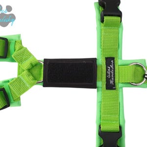Könnte beinhalten: Hellgrünes Hundegeschirr mit schwarzen Schnallen und einem schwarzen Klettverschluss. Das Geschirr hat ein gepolstertes Design und einen Metallring zur Befestigung der Leine. Der Markenname "Silas Hundeshop" ist auf einem kleinen Etikett aufgedruckt.