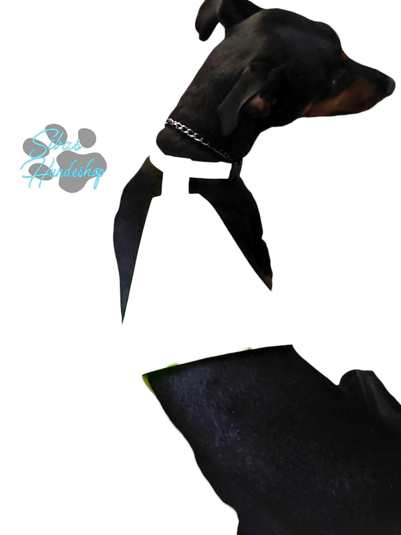 May include: A black Doberman Pinscher dog with a silver chain collar. The dog is set against a white background. The dog's head is turned to the side, and the body is partially visible. The image includes the text "Silas Hundeshop".