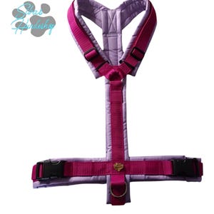 Dog harness lilac magenta – padded Y-harness softshell – ergonomic, handmade & adjustable – dog harness individual