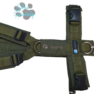 Könnte beinhalten: Ein olivgrüner Hunde-Geschirr mit schwarzen Kunststoffschnallen und verstellbaren Riemen. Das Geschirr trägt den Namen "Baghira", der mit passendem grünen Faden gestickt ist, sowie einen Pfotenabdruck. Die Marke "anny-x" ist ebenfalls sichtbar.