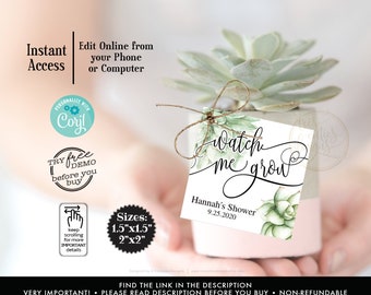 baby shower succulent tags