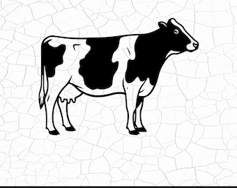 Cow SVG, Highland Cow SVG, Cute Baby Cow, Farm Animal Clipart, Cow Png, Cricut & Silhouette Cut Files, Digital Download