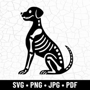Op de afbeelding: Een zwart silhouet van een hondenskelet in zittende positie. De skeletstructuur van de hond is zichtbaar, met ribben en botten. De afbeelding bevat de tekst "SVG • PNG • JPG • PDF" onderaan.