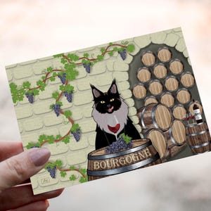 Saint Vincent wine illustration, Choupa the MaineCoon, cellar and barrels in Burgundy, wine, regional scene, original decorative poster