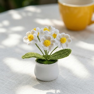 Crochet Daisy in the Pot, Hand Made, Personalized ift, Home Decoration, Office Decoration, Knitted Daisy, Office Flower, Crochet Daisy