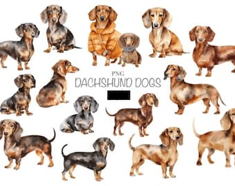 Dackel Hunde Bundle 14 PNG