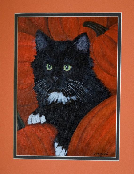 orange eyed black cat