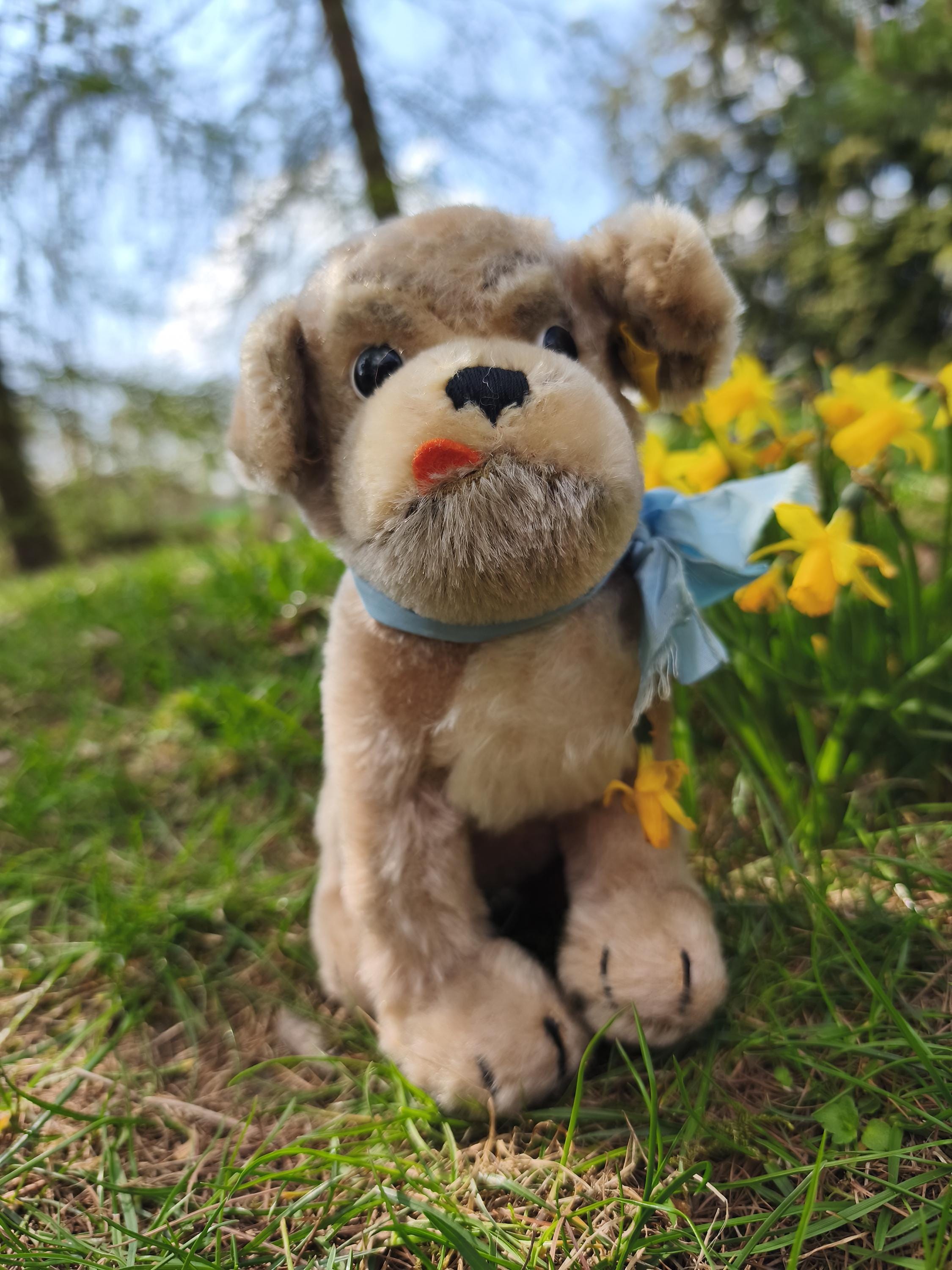 Steiff German Shepherd - Etsy
