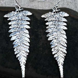 May include: A pair of silver fern leaf dangle earrings. The earrings are made of metal and have a detailed fern leaf design.