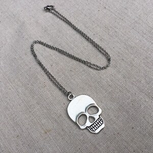 May include: A silver chain necklace with a silver skull pendant. The skull is detailed with eye sockets, a nose, and a mouth.