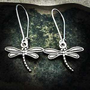 May include: A pair of silver-colored dragonfly earrings. Each earring features a detailed dragonfly charm suspended from a long, curved ear wire. The dragonfly has intricate wing and body details, creating a delicate and nature-inspired accessory.