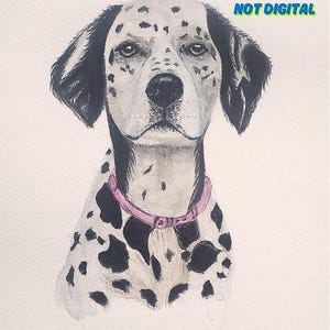 Ritratto di animale domestico Ritratto di cane personalizzato Ritratto di animale domestico ad acquerello Cane personalizzato, Dipinto di cane Regalo per il giorno del mese, Commemorativo di cane Acquerello Arte canina