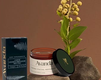 Kit de Cuidados com a Pele – Tratamento Natural para Acne e Manchas Escuras | Sabonete + Creme Facial | Kit de Reparação de Ervas