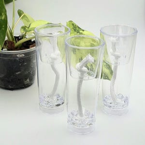 Mini Self-Watering Propagation Pot: Clear Acrylic Wick System