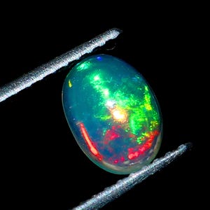 May include: An oval-shaped opal gemstone held by silver tweezers against a black background. The opal displays a vibrant play of color, with flashes of green, red, and yellow within its translucent body. The gemstone is approximately 1 inch in length.