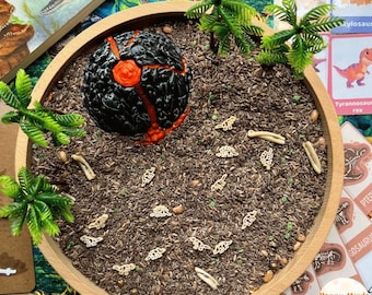 May include: A round wooden tray filled with dark brown rice, featuring a black and orange volcanic rock model, several small green plastic palm trees, and numerous miniature cream-colored dinosaur skeleton figurines scattered throughout.