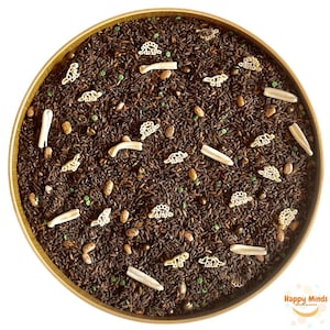Dinosaur Sensory Bin (4 cups) Dinosaur Birthday Sensory Play, Dino Dig Fossil Excavation Site, Jurassic Jungle World
