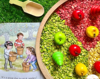 Taste-Safe Apple Picking (4 cups) Sensory Bin, Apple Sensory Bin, Fall Sensory Bin, Sensory Filler, Colored Oats, Apple Orchard Sensory Bin