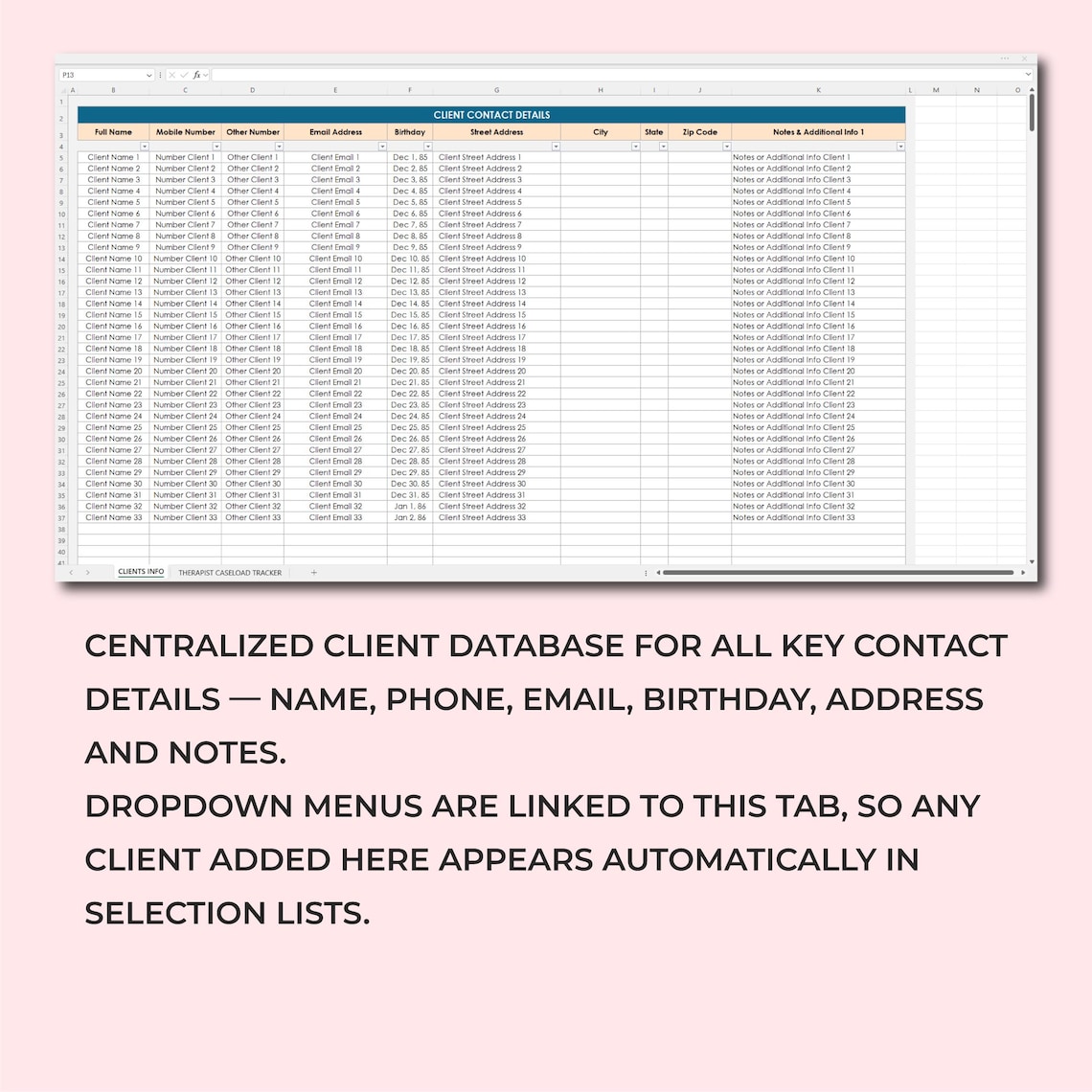 Therapist Caseload Tracker Template, Caseload Tracker Spreadsheet for ...
