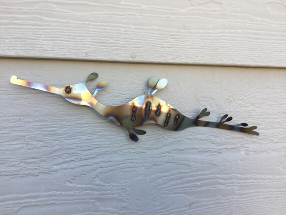 Weedy Sea Dragon Etsy