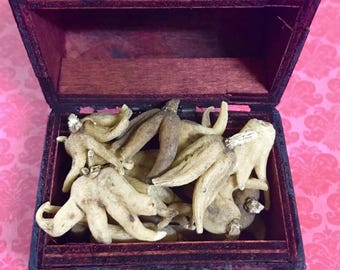 Root Hand of Fortune / Root Hand of Fortune Amulet (1 piece)