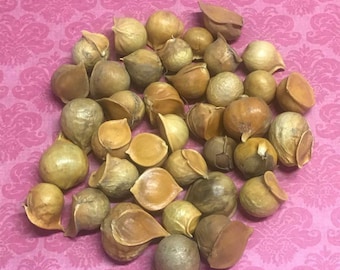 Ajo Macho bag of 20 units - Ajo Macho - Wicca witchcraft spells