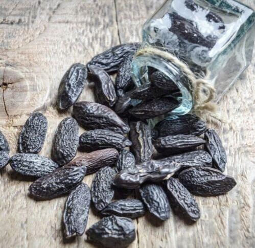 Tonka Bean - Tonka Bean’s 20 gr. / Amulet