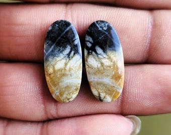 May include: Two oval-shaped gemstones with a unique pattern. The top portion of each stone is black, transitioning to white and then a tan color at the bottom. The stones have a natural, organic appearance, with intricate veining.