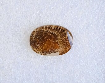 Natural Scenic Agate Smooth Slice Cabochon Oval Shape Handmade Loose Gemstones ( 18x13x2 MM )